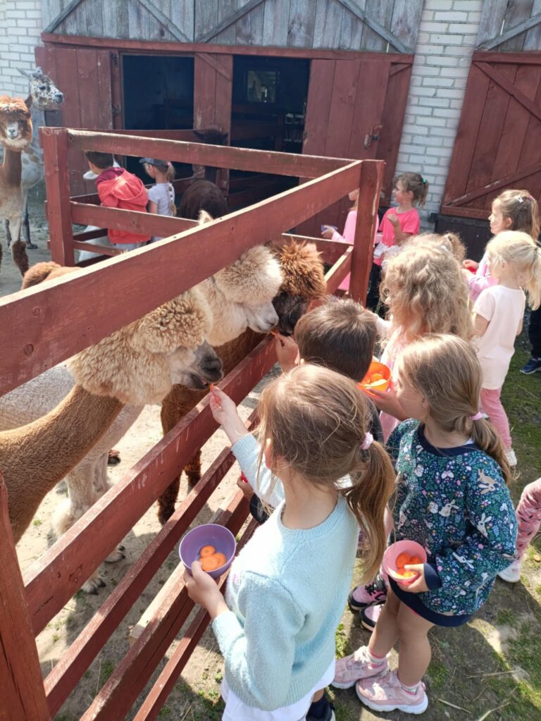 Wyjazd do Farmy Alpaca’s Kingdom