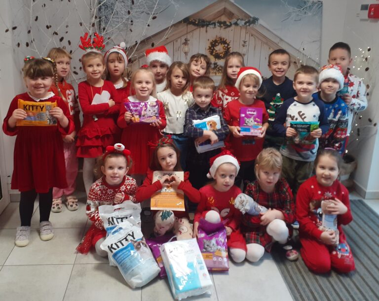 Akcja charytatywna na rzecz schroniska dla zwierząt