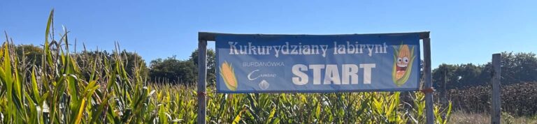 „Kukurydziany labirynt” – wycieczka do Burdanówki