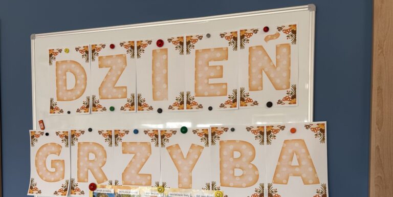 🍄 Dzień Grzyba w grupie „Żółwiki” 🍄