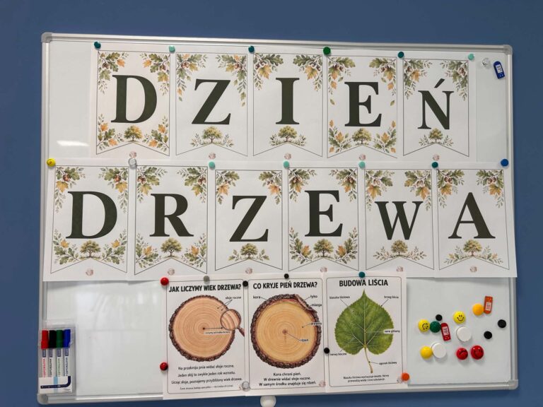 Dzień Drzewa w grupie „Żółwiki”